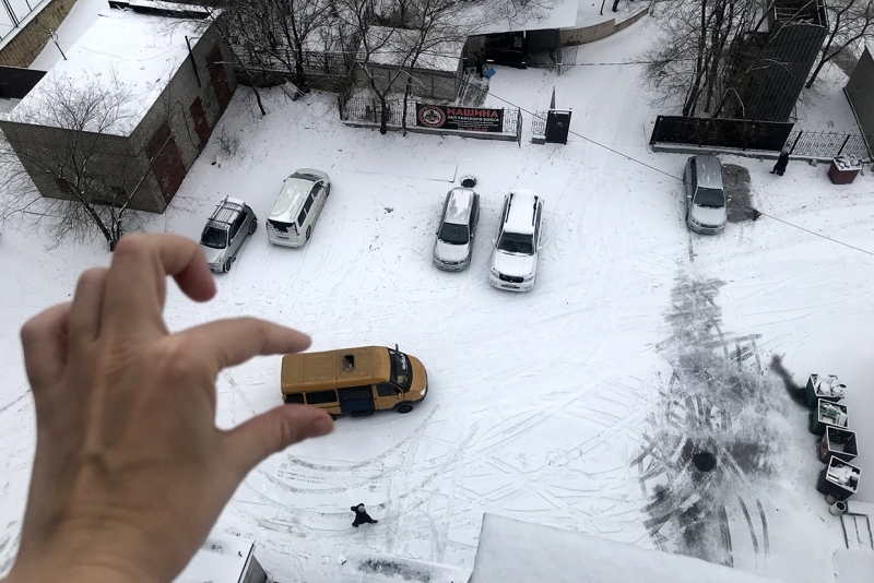 Мария Бородина, ИА PrimaMedia