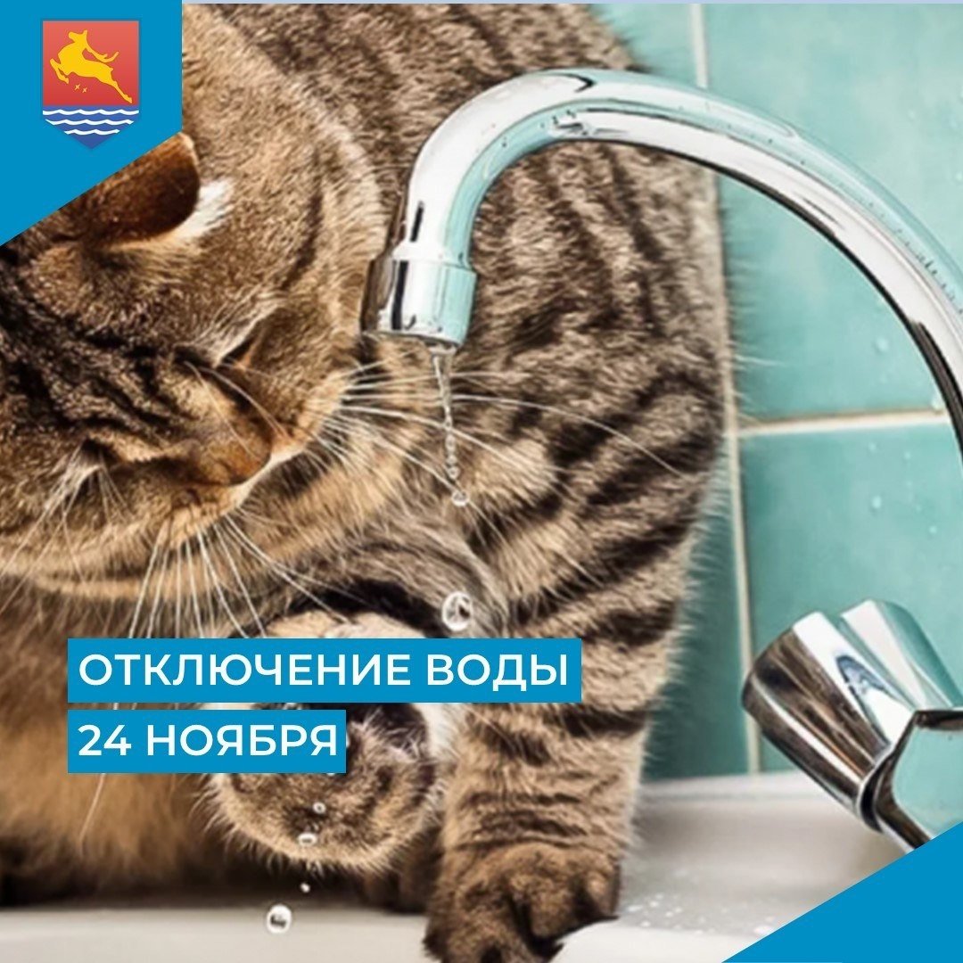 Тематическое фото Мэрия Магадана