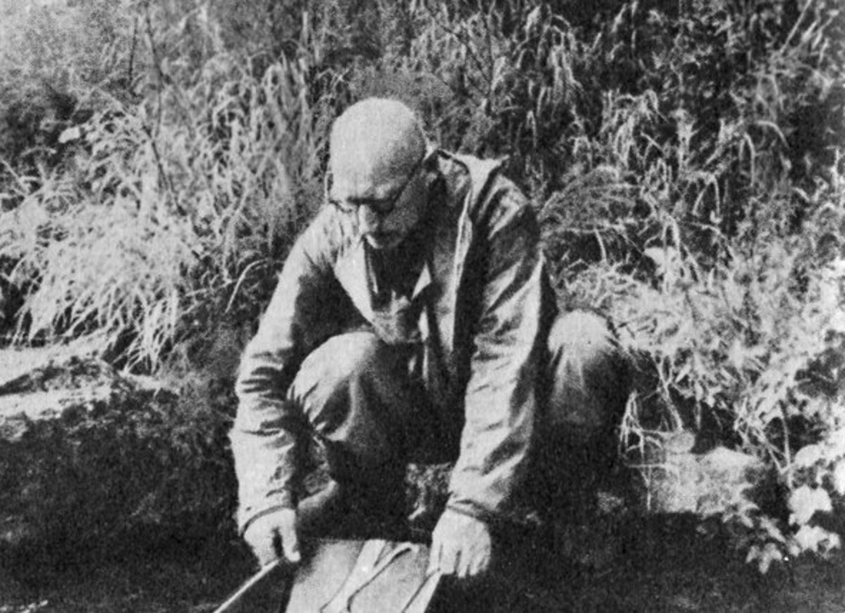 из открытых источников