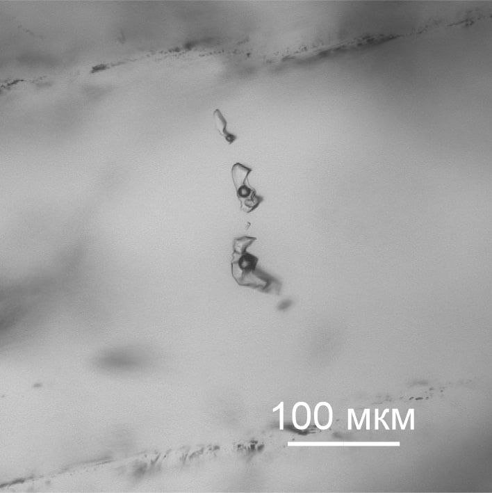 ИВис ДВО РАН