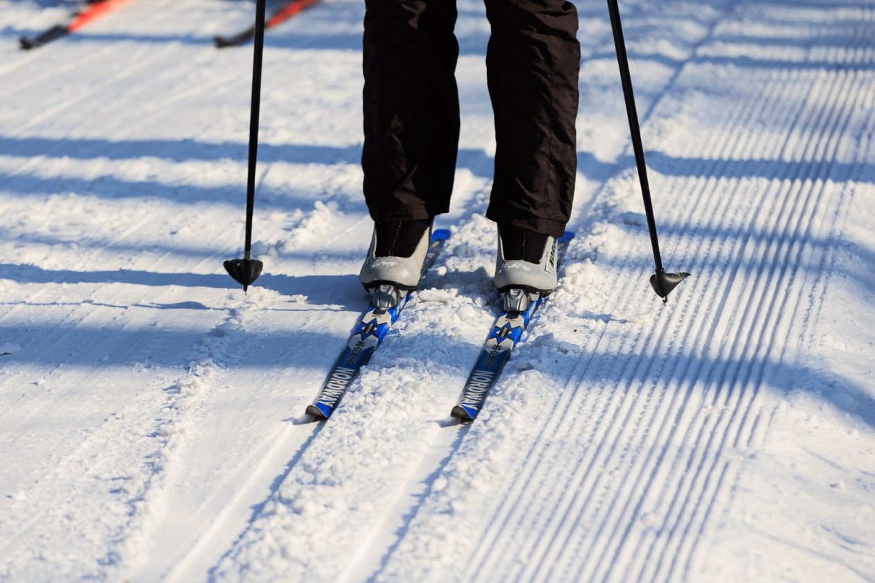 лыжи, Русская лыжня Евгений  Кулешов, ИА PrimaMedia.ru