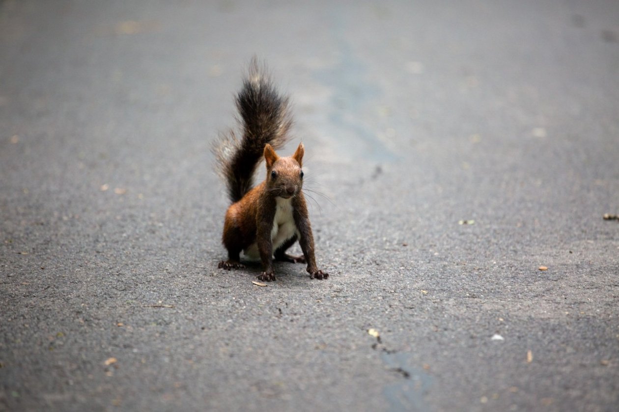 ИА Stavropol.Media