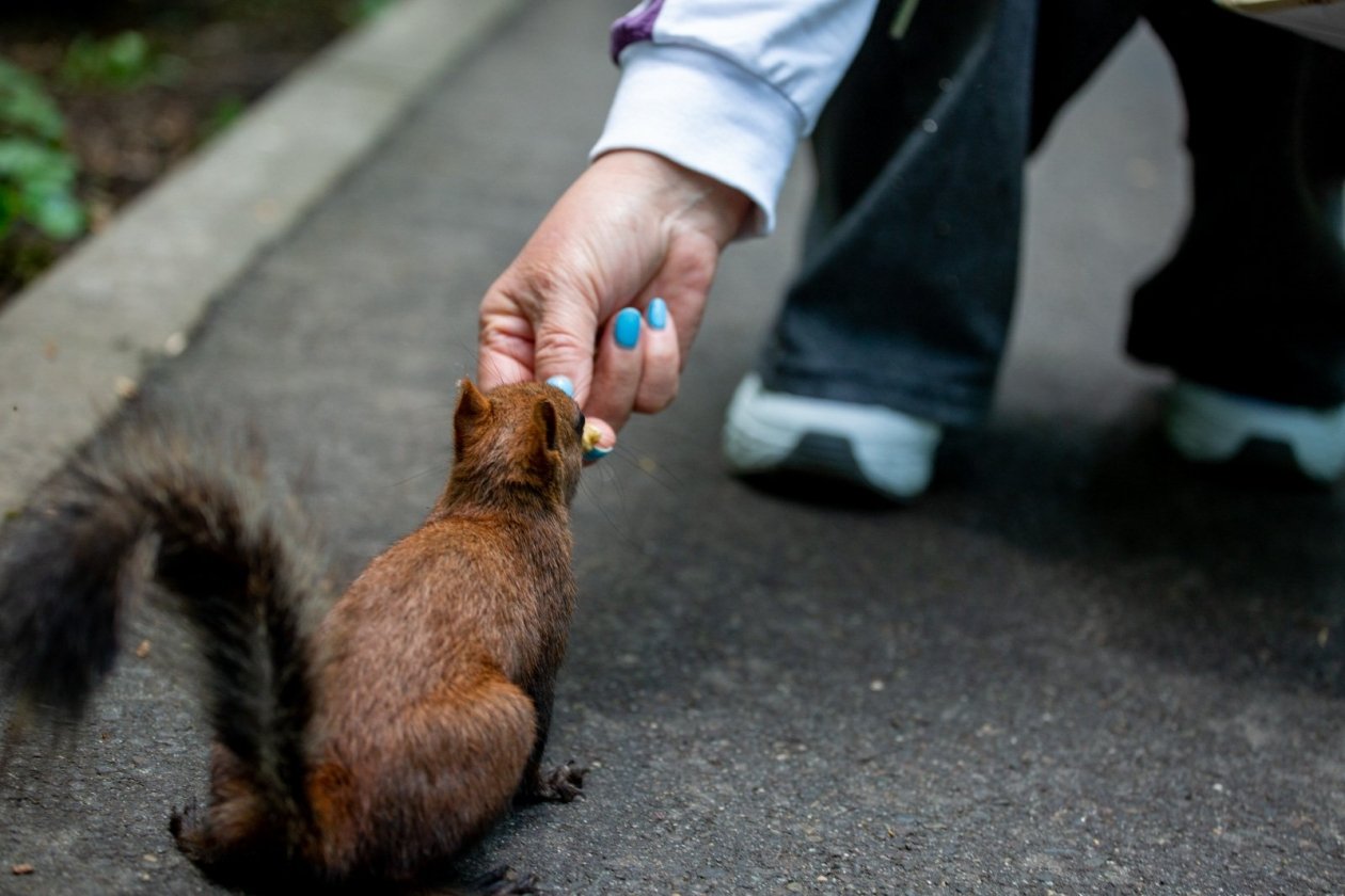 ИА Stavropol.Media
