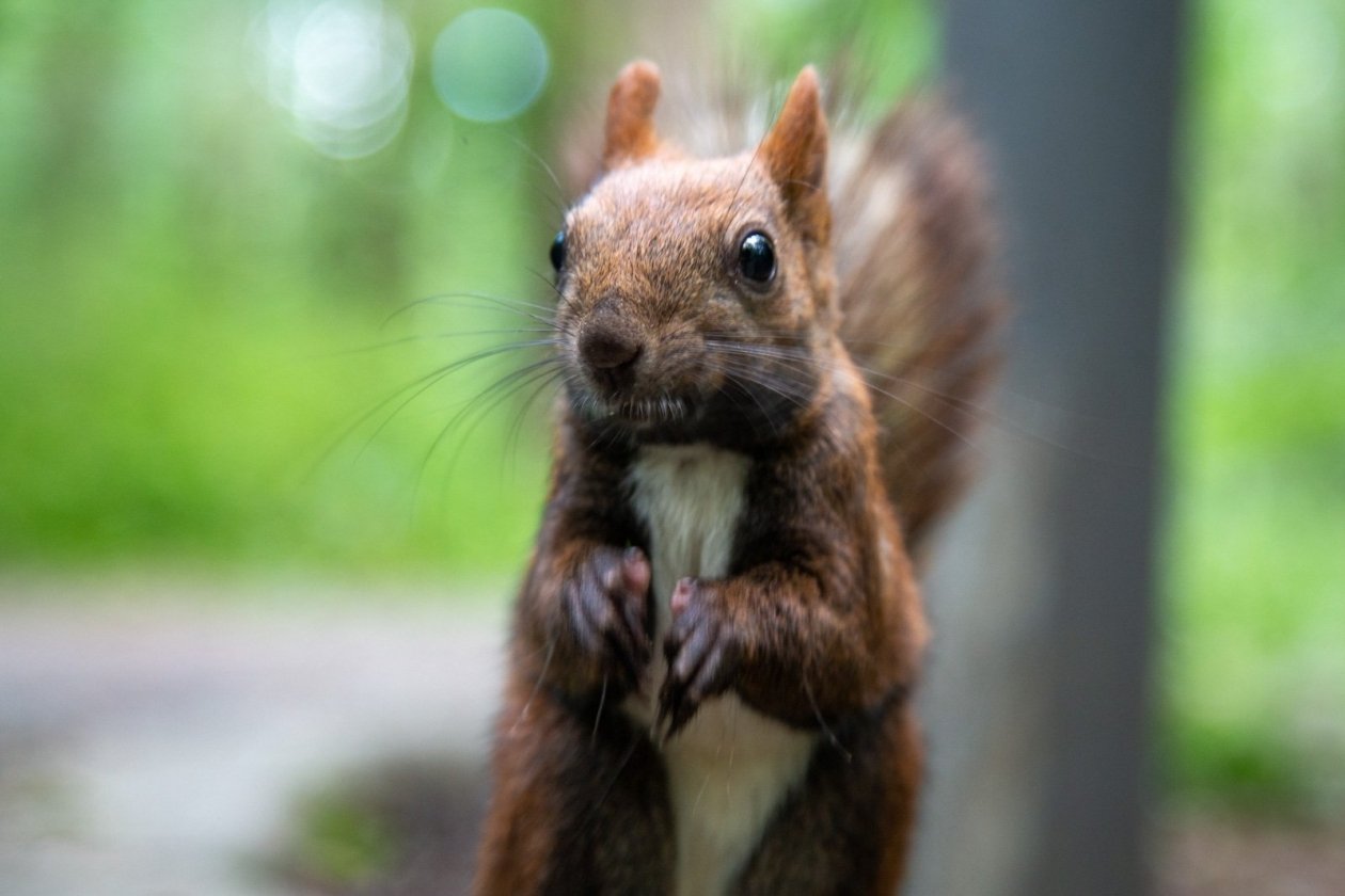 ИА Stavropol.Media