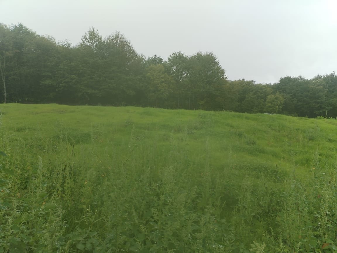 пресс-служба администрации Южно-Сахалинска