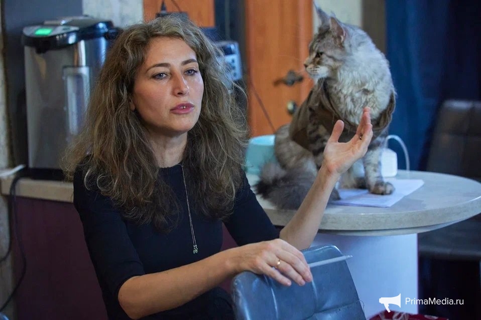 Дмитрий Осипчук, ИА PrimaMedia