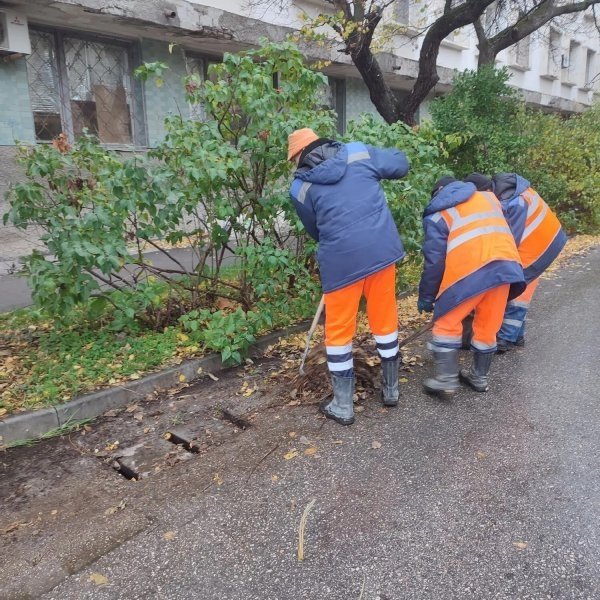 Правительство Севастополя