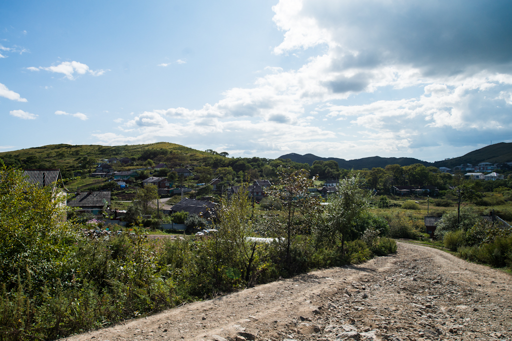 Нерпа, Фото с места события собственное