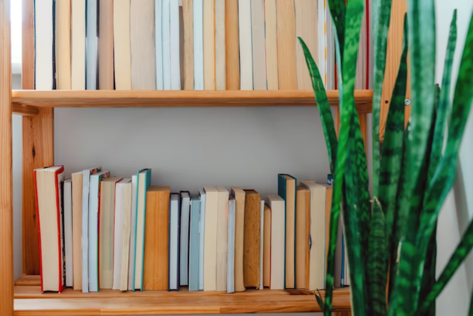 Тематическое фото unsplash.com (18+)