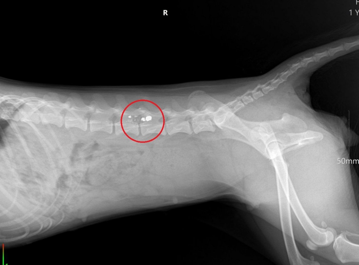 ГУ МВД по Ставрополью