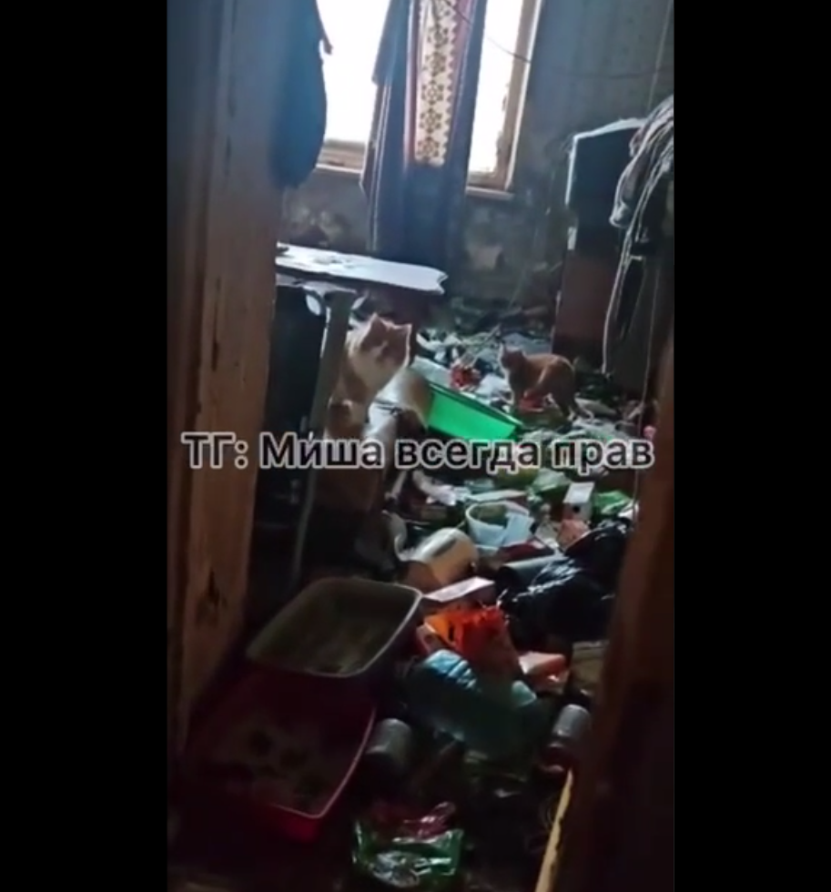 Видео из Tg-канала «Misha_vsegdaprav» (18+)