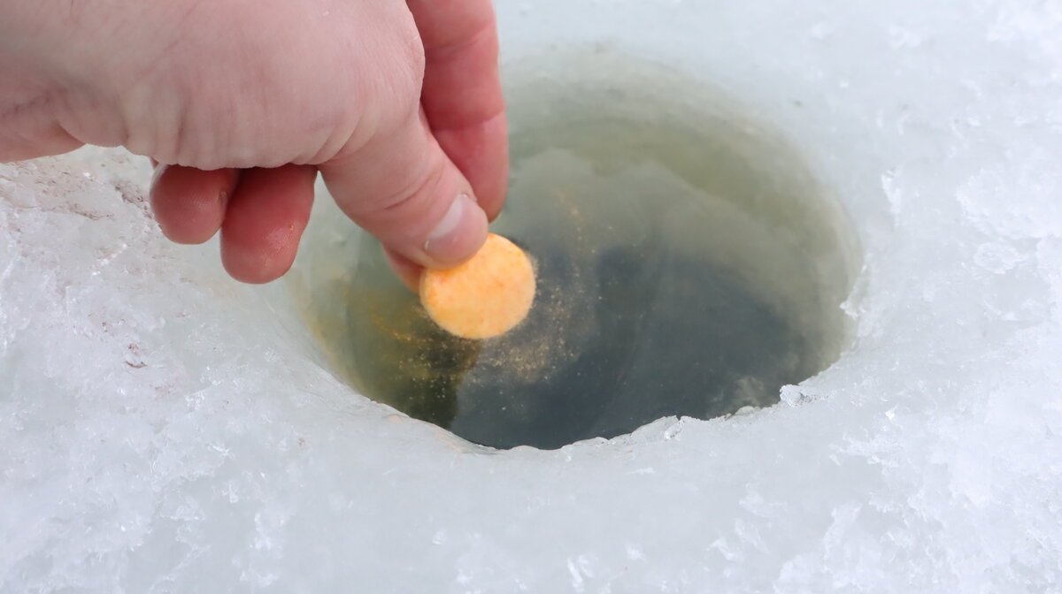 Эта простая таблетка магнитит всю рыбу водоема - просто киньте в лунку дзен-канал &quotЖить без рыбалки не могу.&quot (12+)