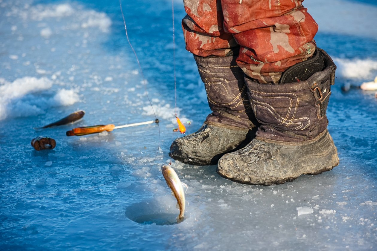Секрет январской рыбалки - ловите окуня в эти часы и на особой глубине Илья Аверьянов, ИА PrimaMedia.ru