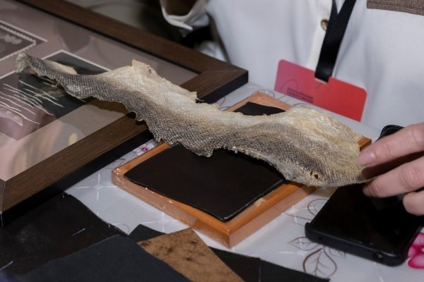 Фотоархив СОКМ / А.Б. Криулькина