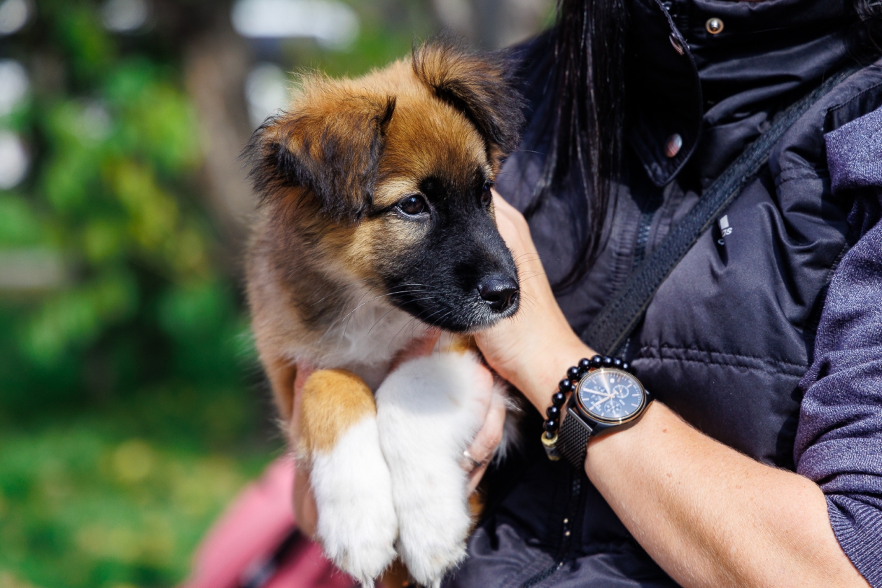 Евгений Кулешов, ИА PrimaMedia