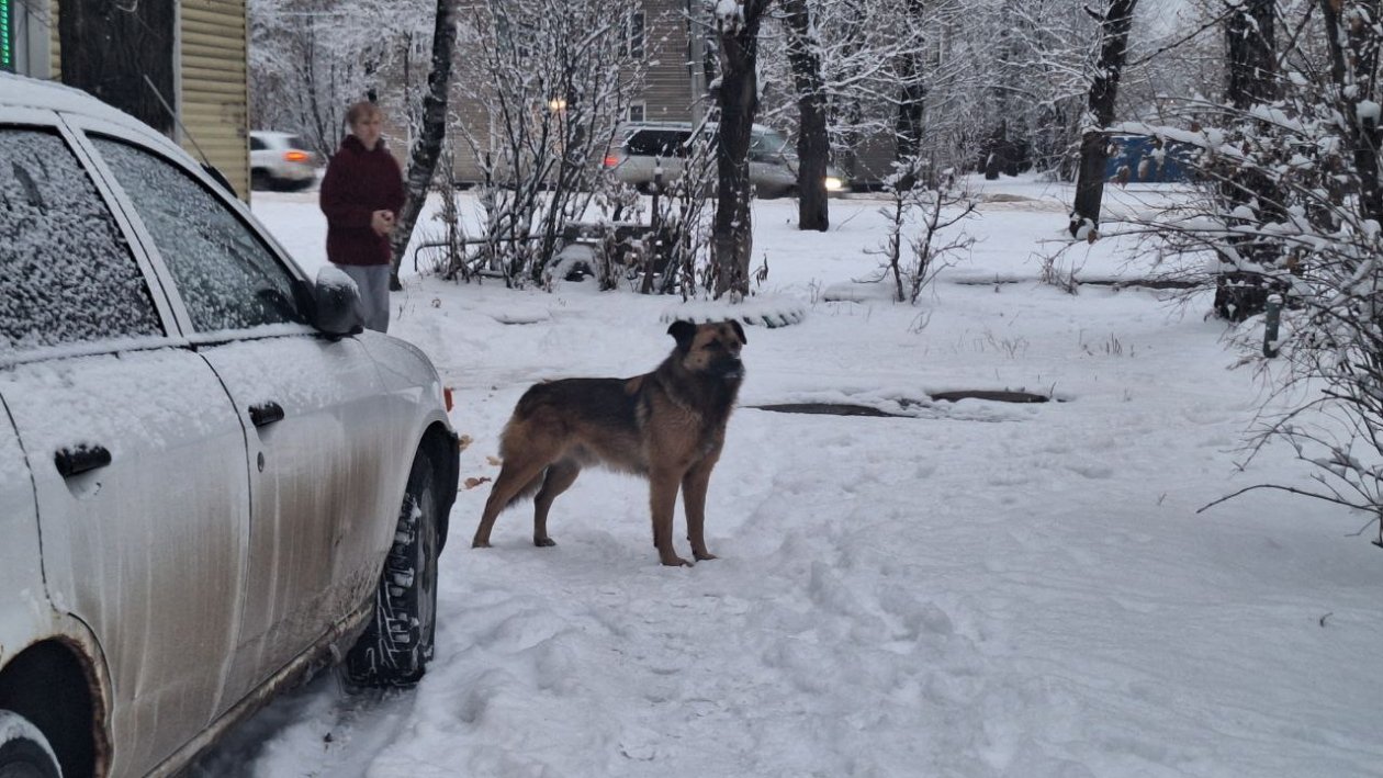 Пыжьянова Ксения, ИА IrkutskMedia