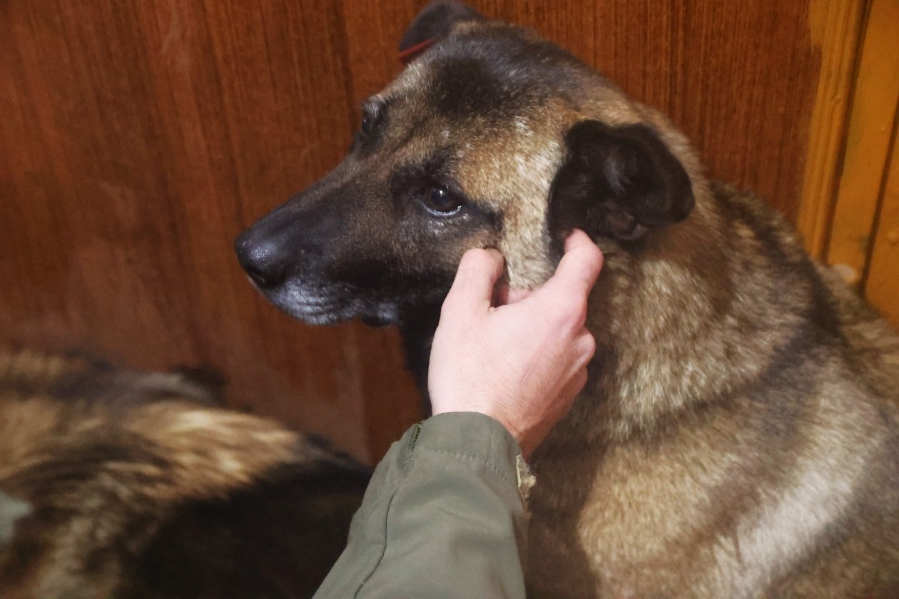 Почекунин Даниил, ИА IrkutskMedia