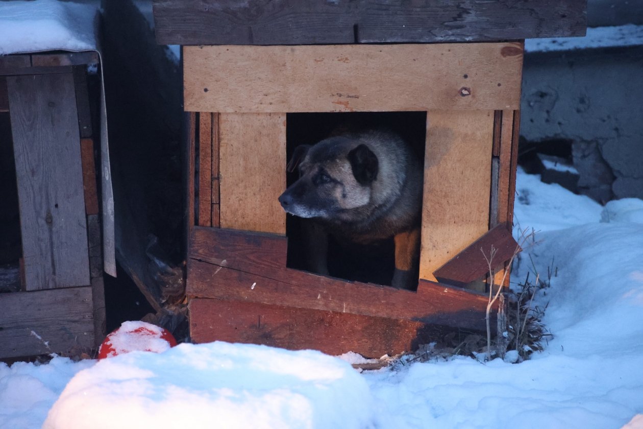 Почекунин Даниил, ИА IrkutskMedia