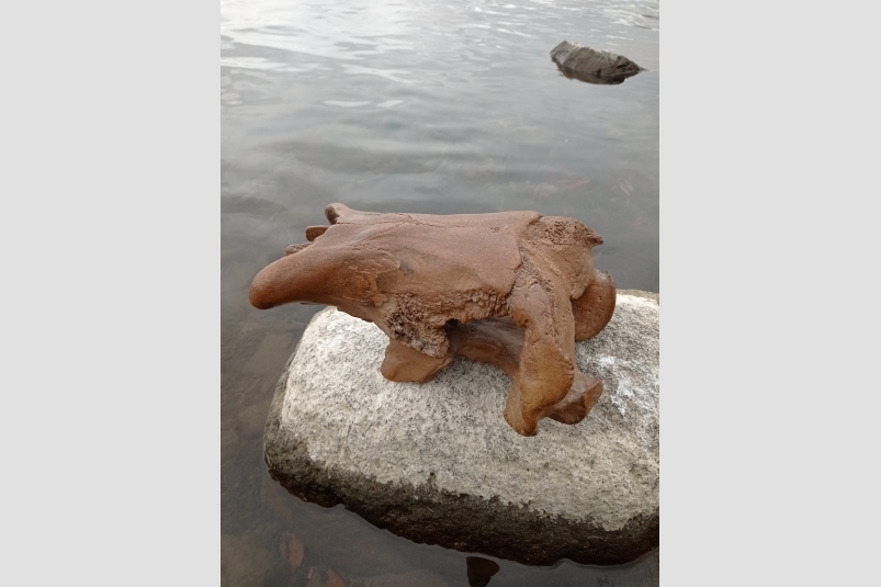 Личный архив