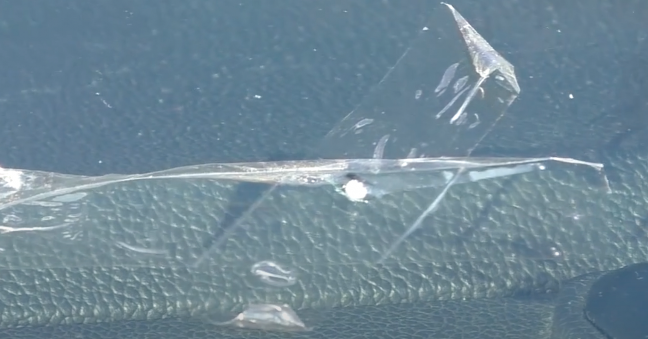 видео с дзен-канала