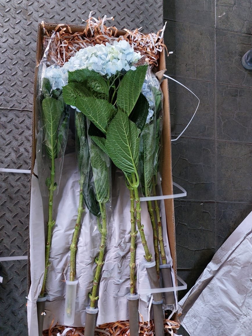 пресс-служба НЦБРСП