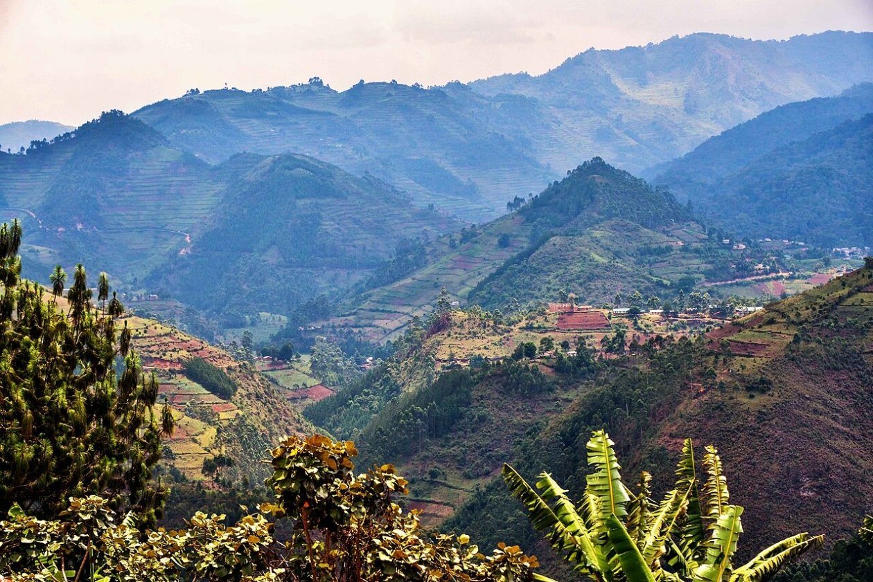 Rod Waddington, wikipedia.org