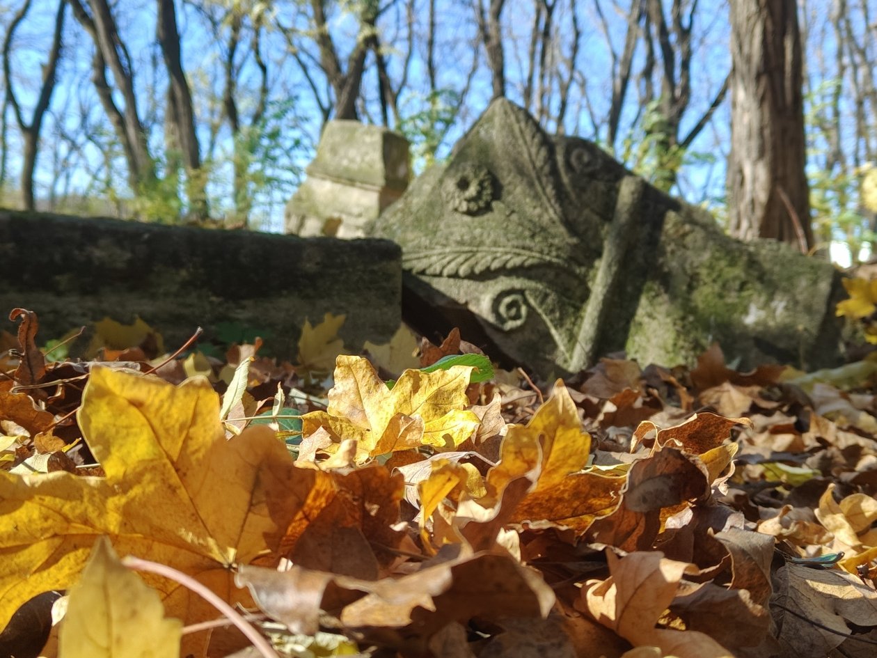 ИА Stavropol.Media