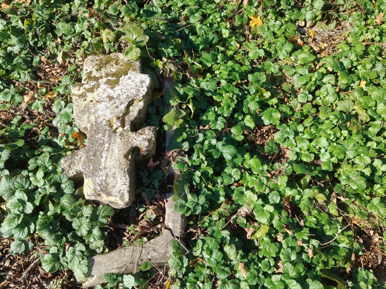 ИА Stavropol.Media