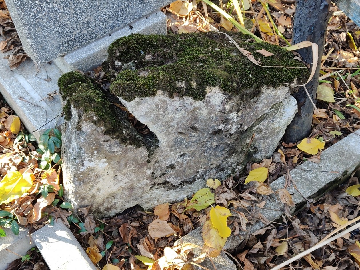 ИА Stavropol.Media