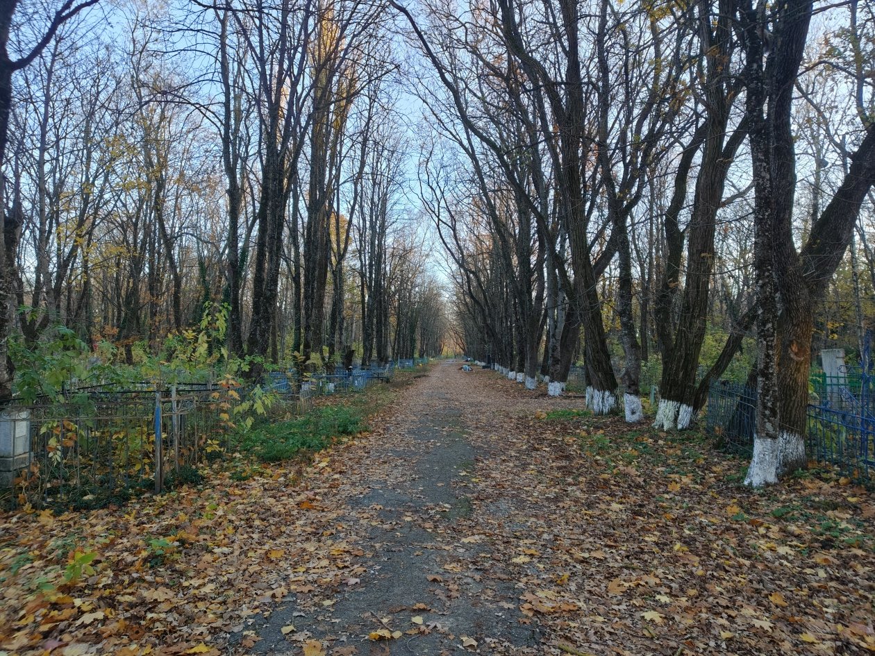 ИА Stavropol.Media