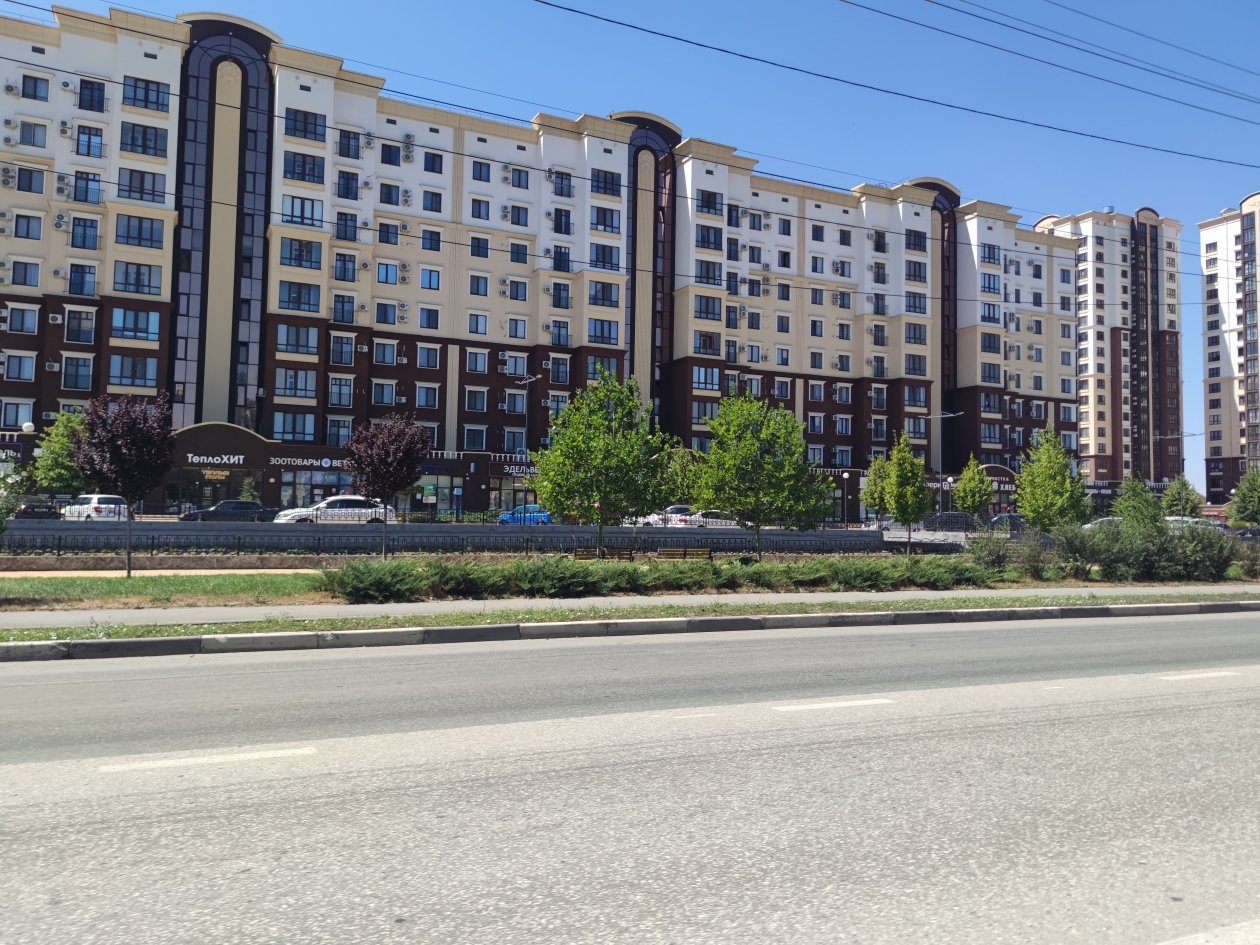 Елена Гиневская, ИА Stavropol.Media