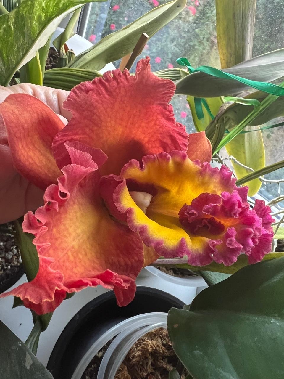 ИА Stavropol.Media