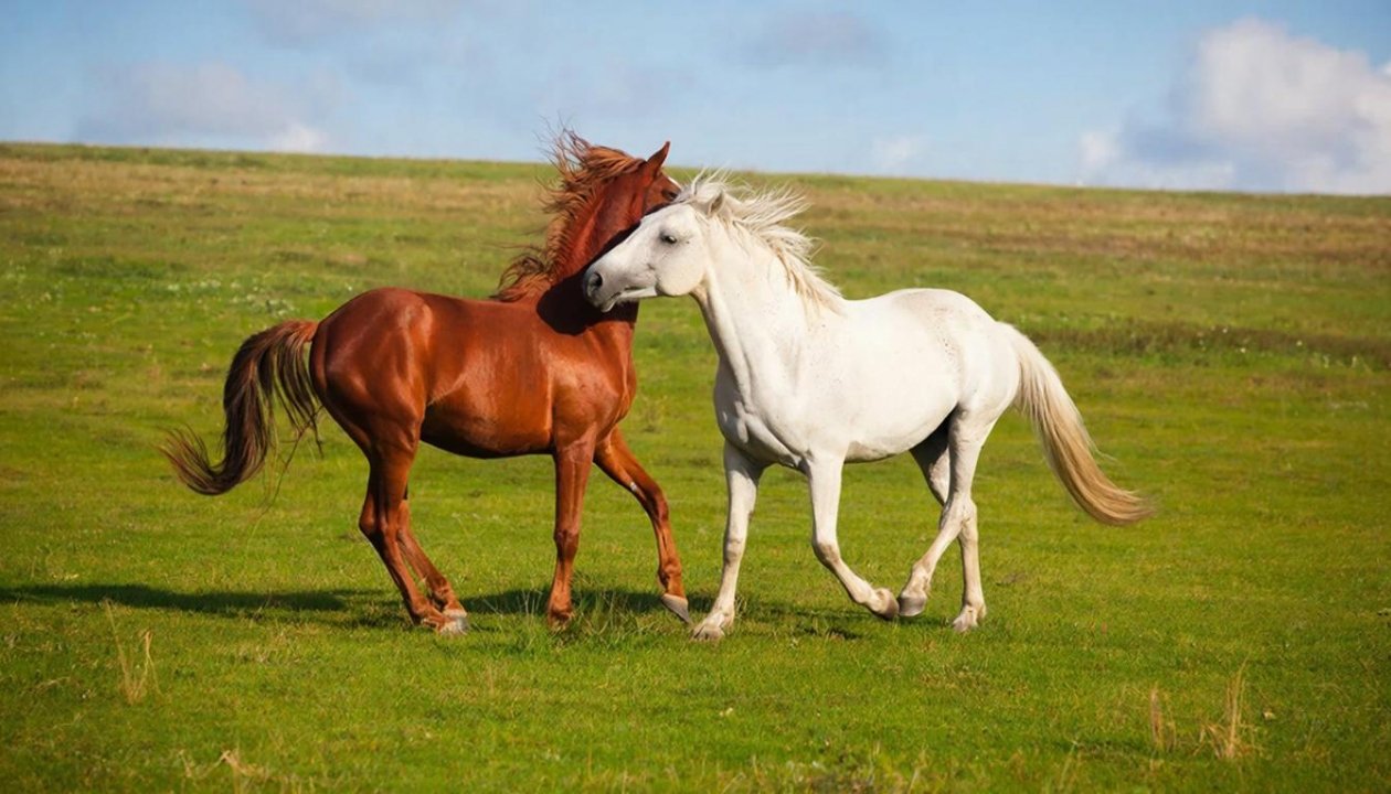 нейросеть GigaChat