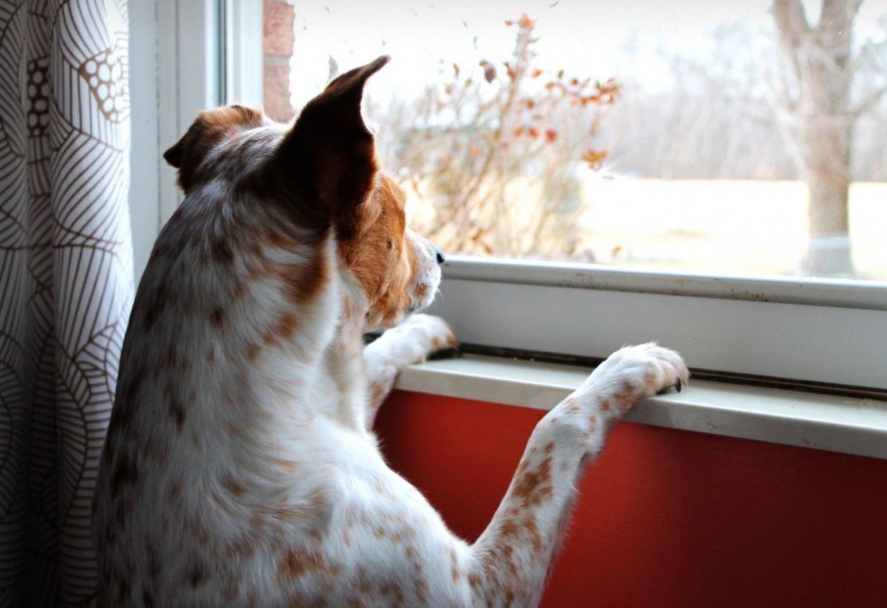 Тематическое фото pxhere.com