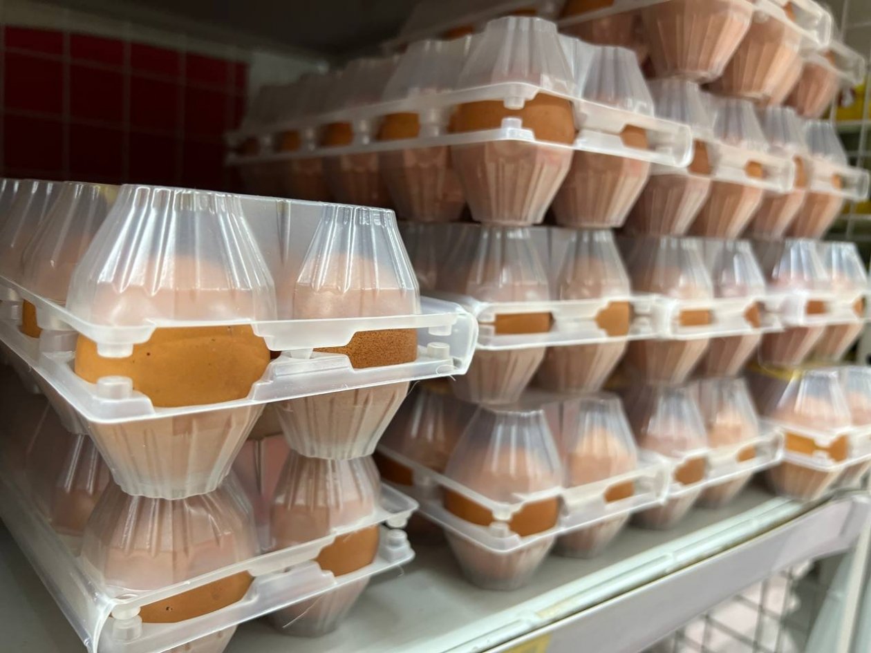 ИА Stavropol.Media