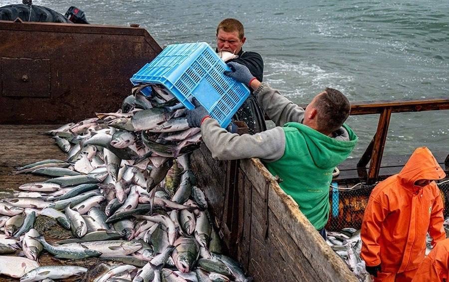 Росрыболовство