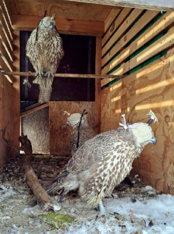 прокуратуры Забайкалья