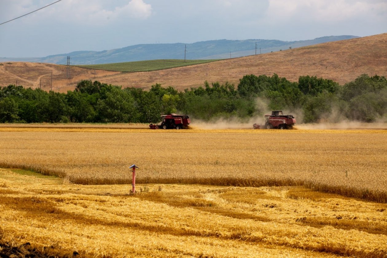 ИА Stavropol.Media
