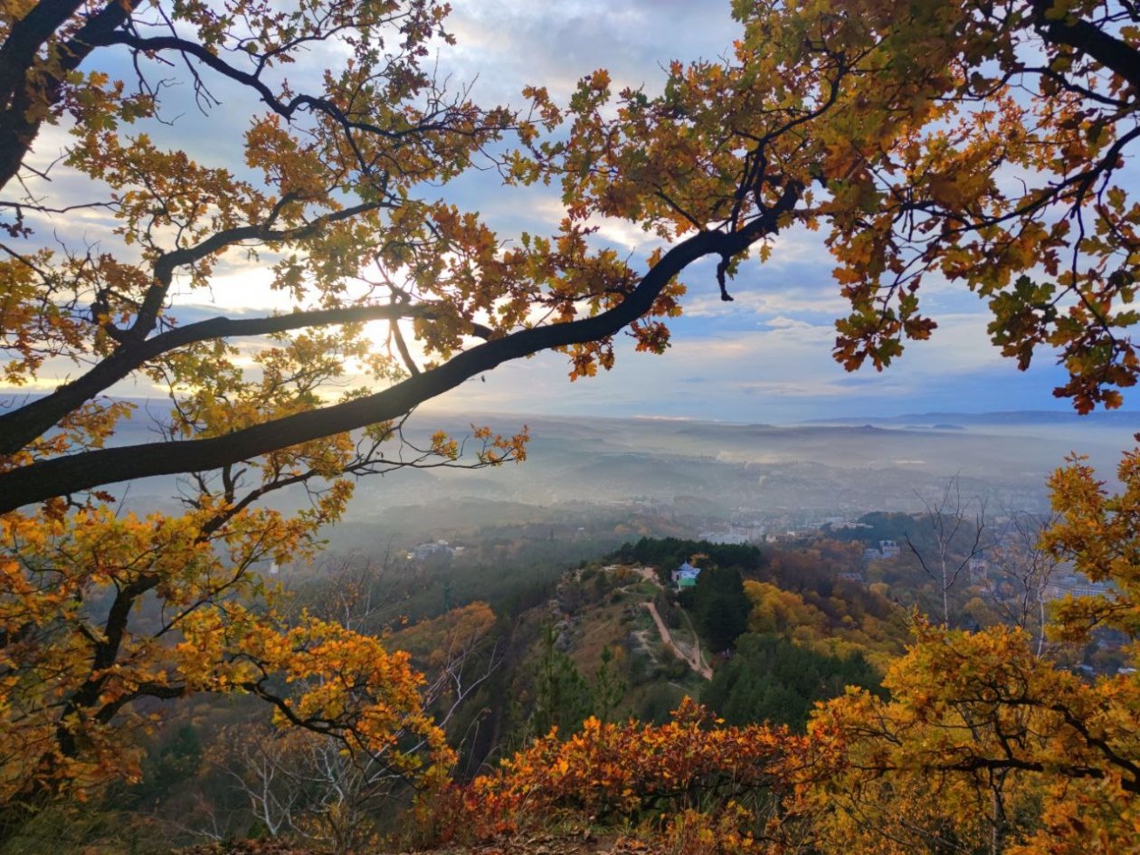 ИА Stavropol.Media