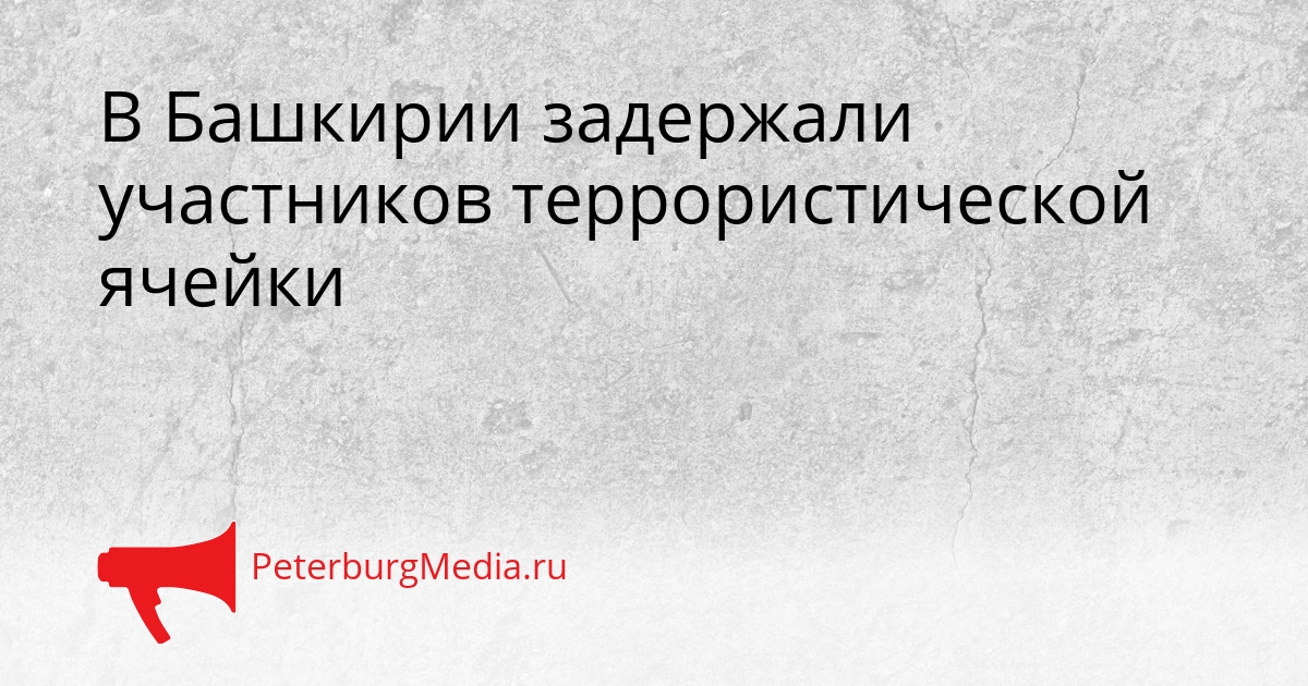 В Башкирии задержали участников террористической ячейки Сгенерировано
