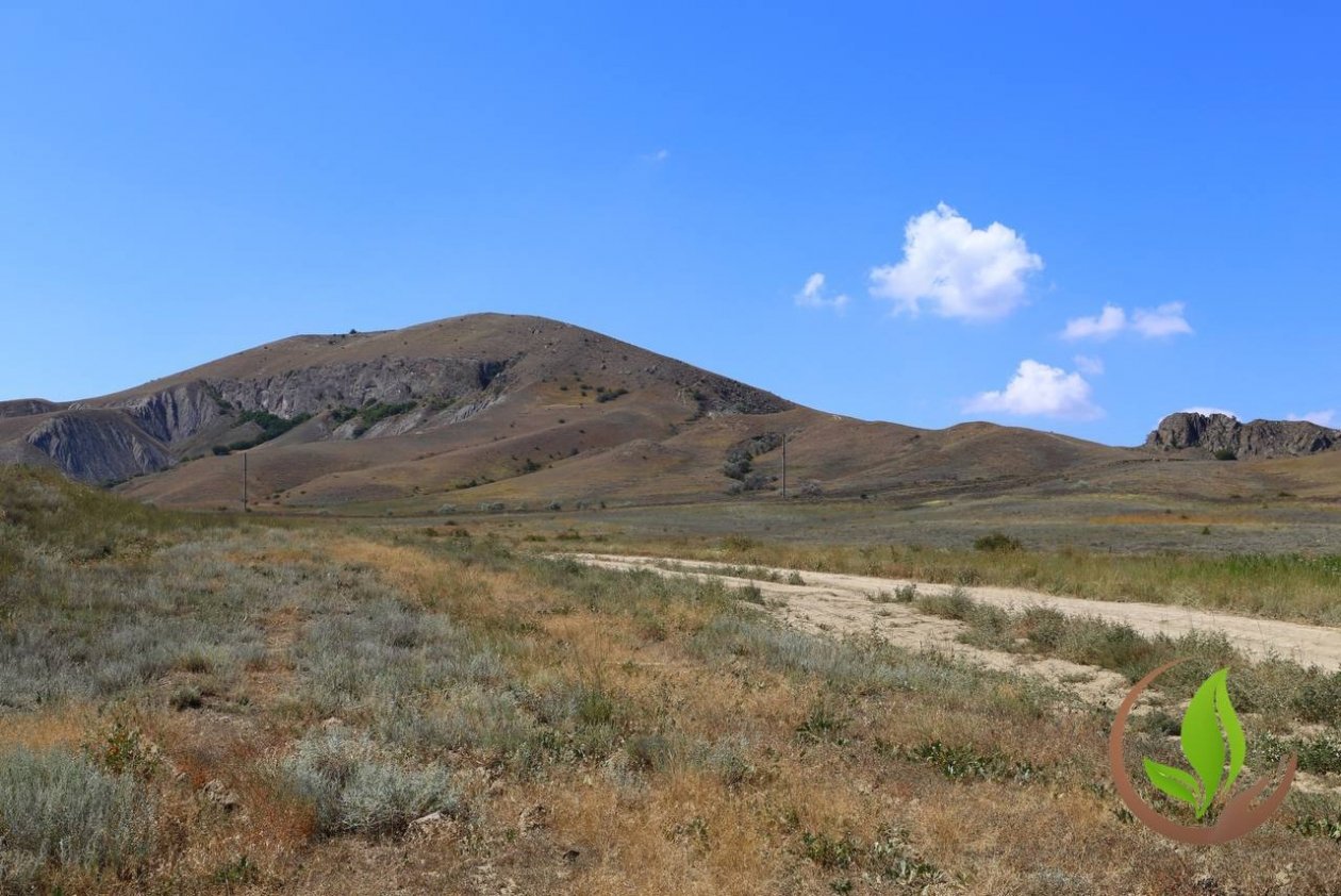 Соцсети министра экологии РК Ольги Шевцовой