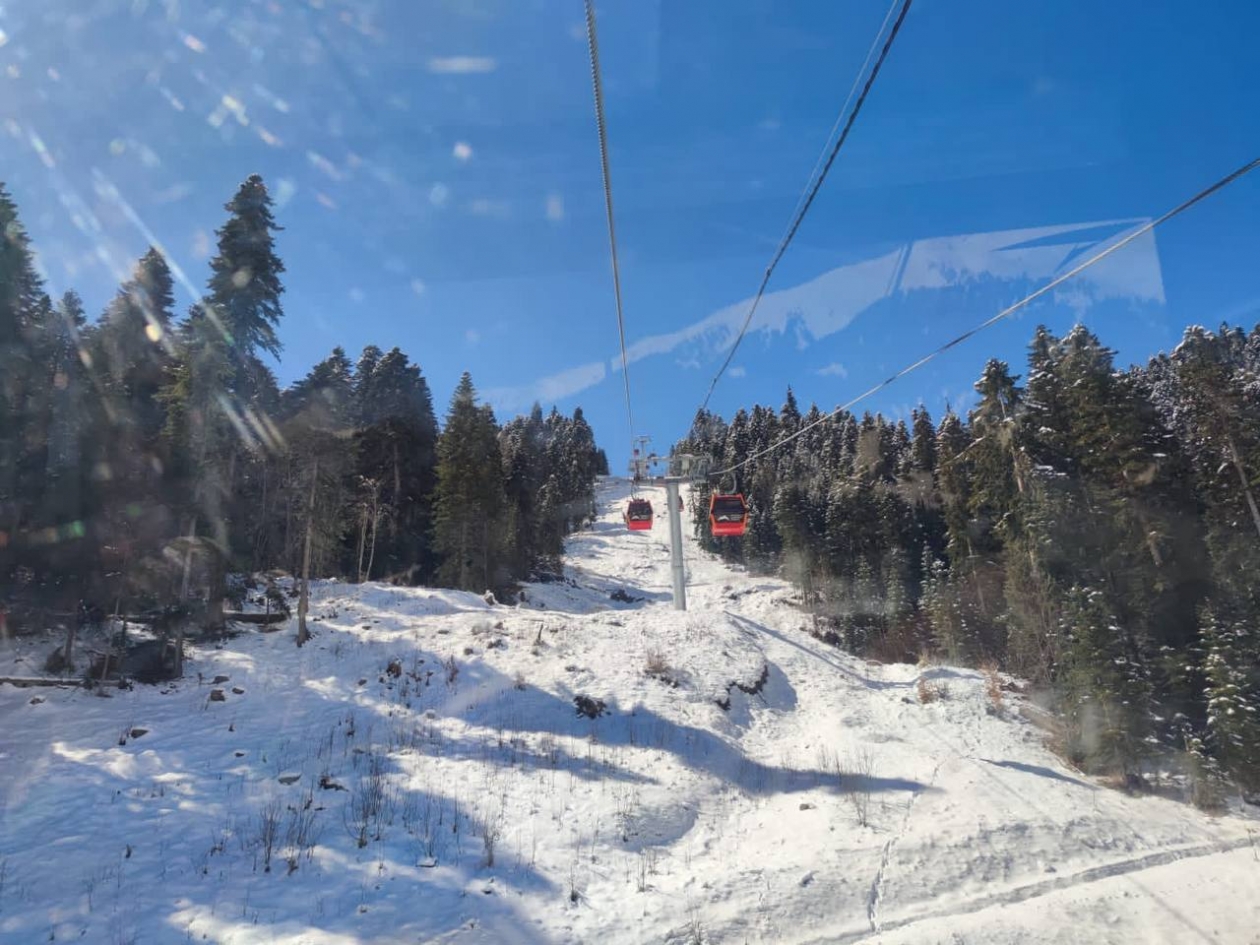 ИА Stavropol.Media, Елена Гиневская