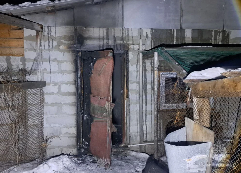 Сотрудник МЧС спас мужчину на пожаре в Бурятии МЧС по Бурятии