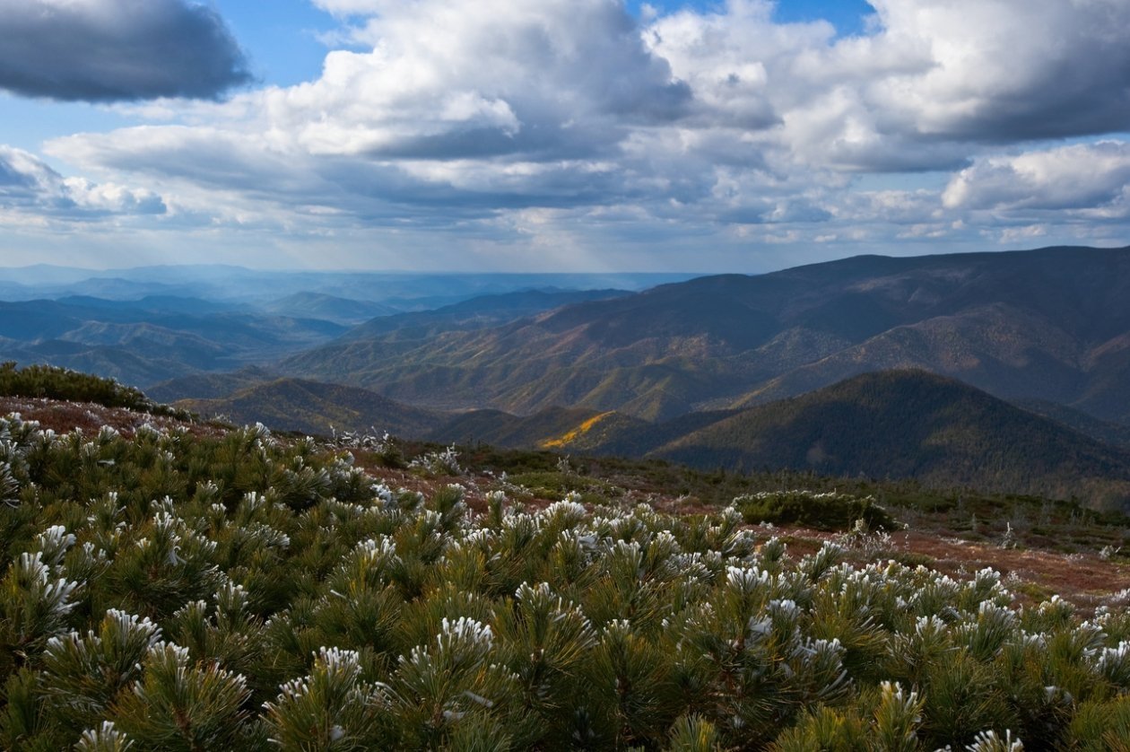 Владимир Серебрянский
