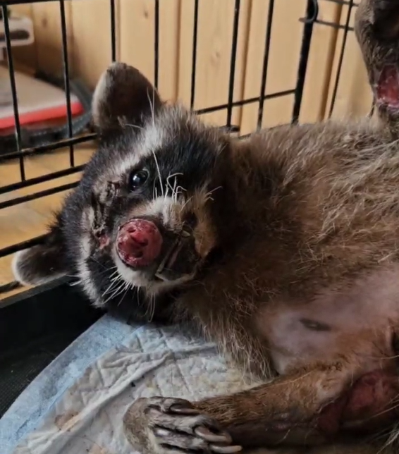 реабилитационный центр 