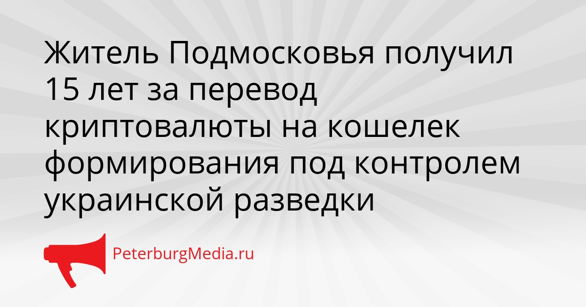 Житель Подмосковья получил 15 лет за перевод криптовалюты на кошелек формирования под контролем украинской разведки Сгенерировано