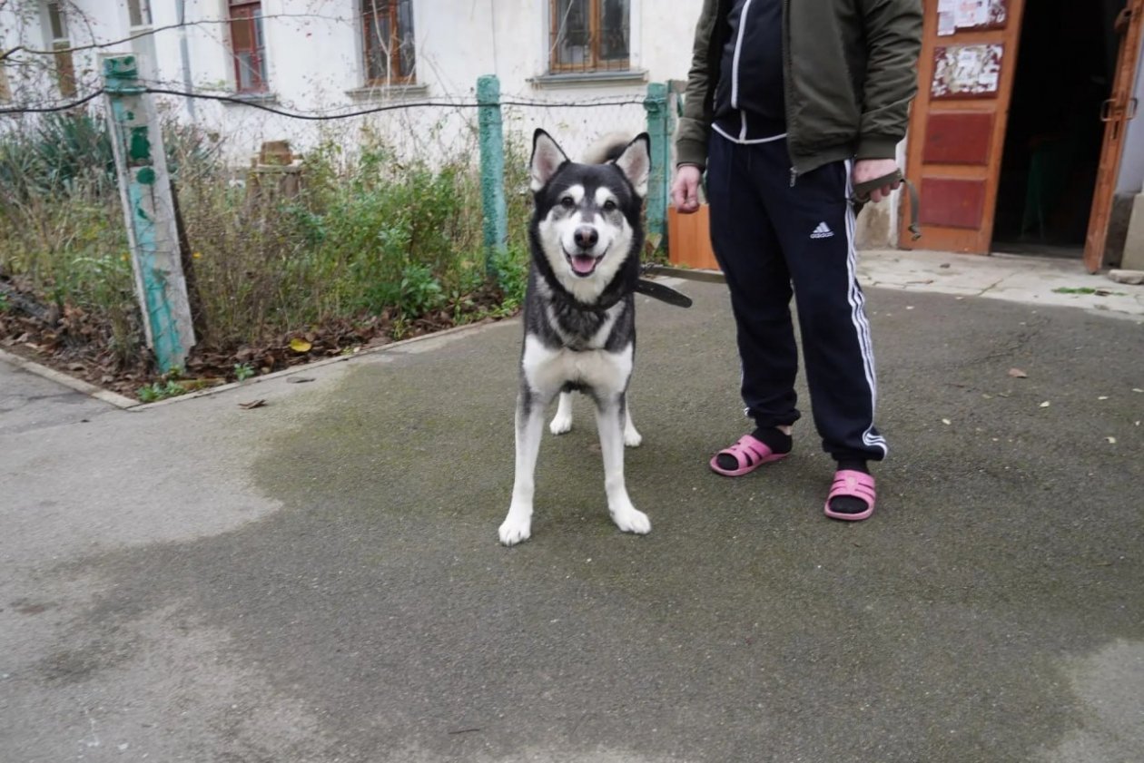 Соцсети О. Каторгина