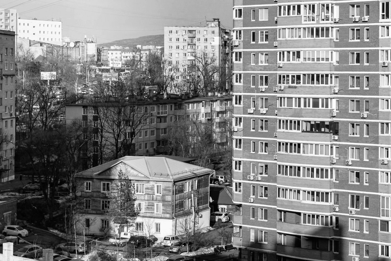 Тест, тематическая иллюстрация Мария Смитюк, ИА PrimaMedia