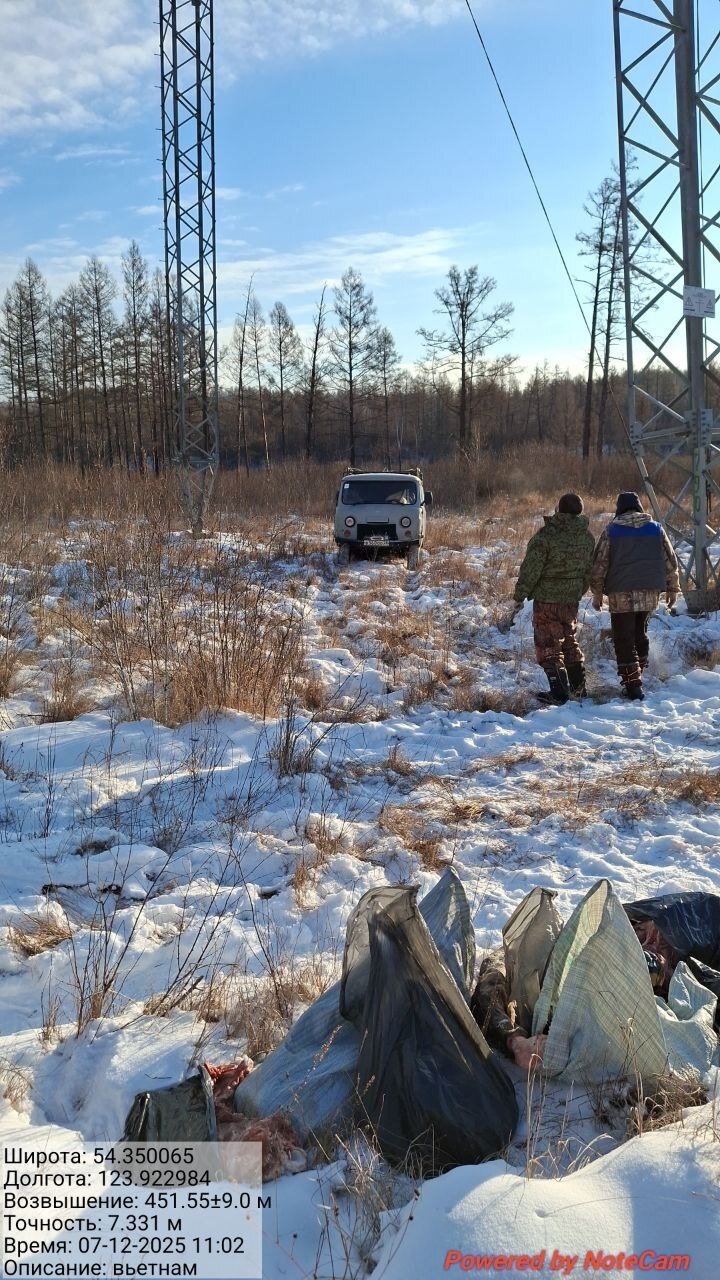 Амурчане незаконно добыли лося и изюбря в Тындинском округе управление по охране животного мира Амурской области