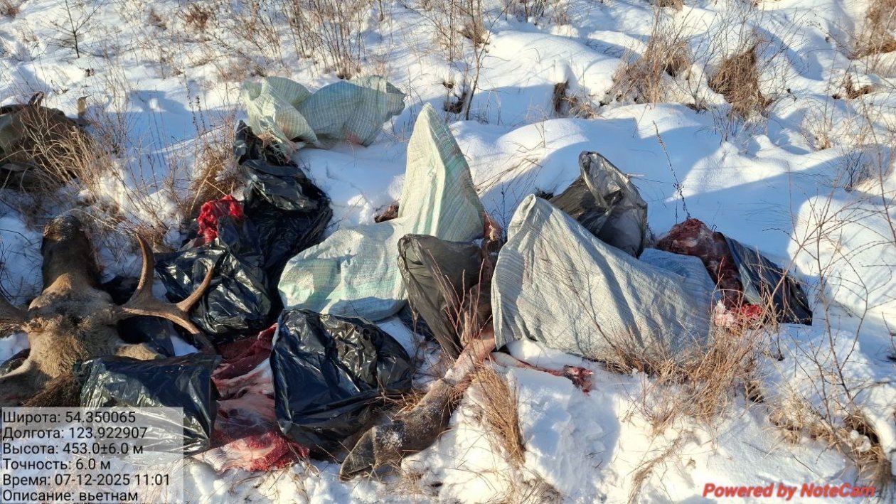 управление по охране животного мира Амурской области